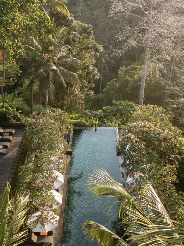 峇里島 | 必存！我最愛的烏布度假酒店Maya Ubud🌴