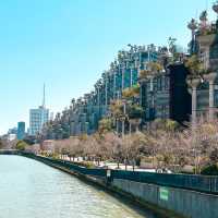 Tian An 1000 Trees  Shanghai