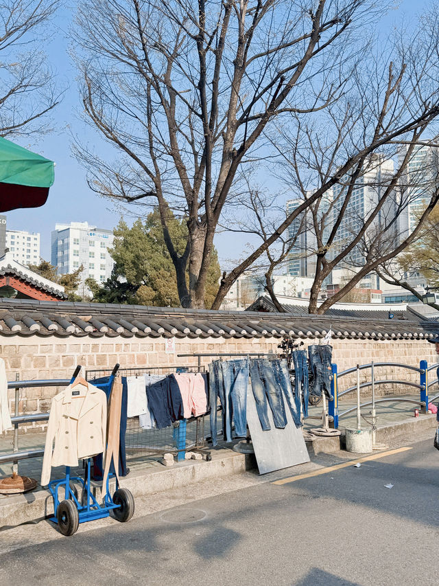 이색있는 서울 여행지 동묘 🌸
