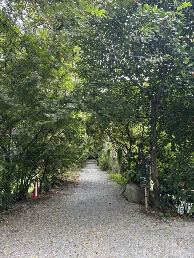 📍Natura Cafe【自然に囲まれたカフェ】
