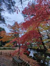 日本名古屋 | 兼六園