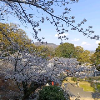 Exploring Kagawa Prefecture on Shikoku Island: Kannon-ji and Jinne-in