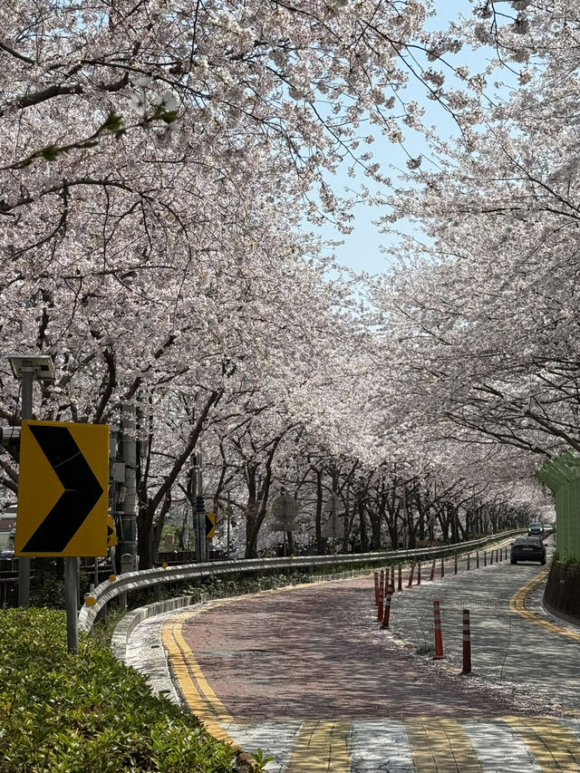 여좌천 다리를 잘 볼 수 잇는 방법
