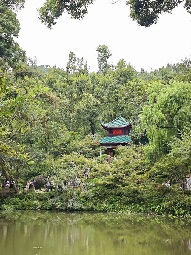 🏞️ Yuelu Mountain No-Hiking Itinerary | South Gate In, East Gate Out