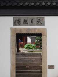 Golden Ginkgo and Ancient Walls