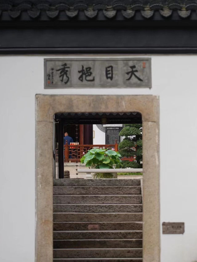 Golden Ginkgo and Ancient Walls
