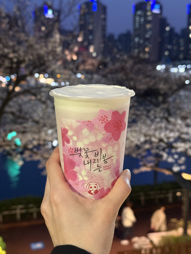 한국애도 상륙한 중국카페 차백도!