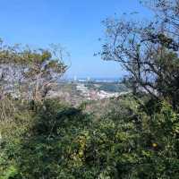 Kinugasayama Park, Yokosuka