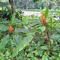Southern Ridges