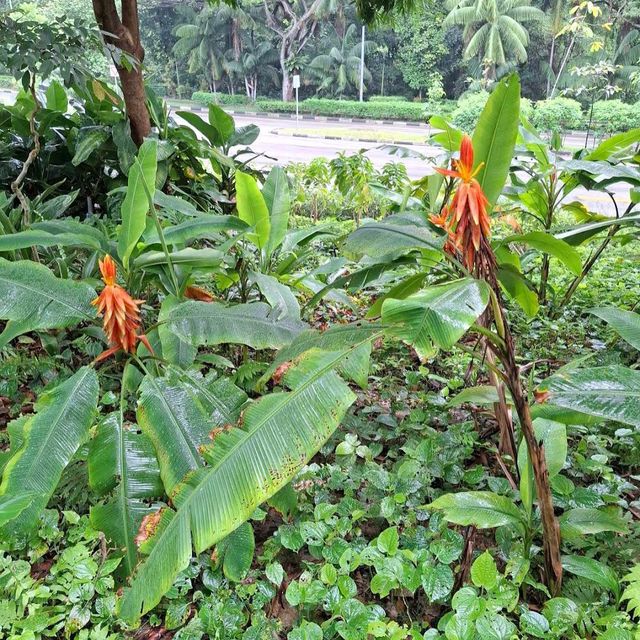 Southern Ridges