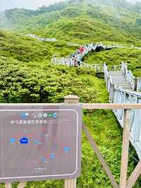 Stairs, Sky, and the Climb That Clears Your Mind: On the Way to Ximatan