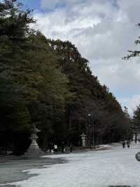 🇯🇵北海道第五天