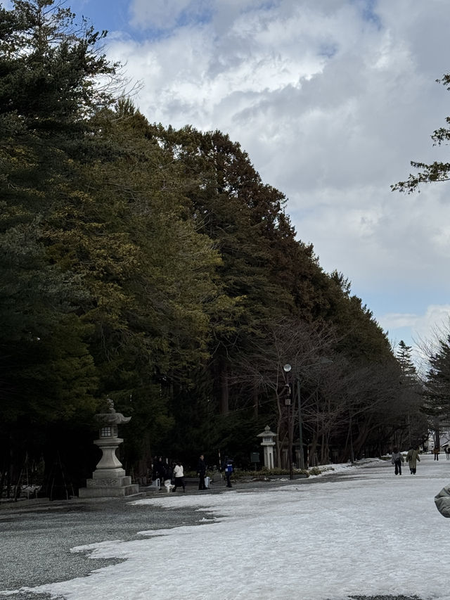 🇯🇵北海道第五天