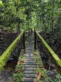 Gunung Mulu National Park