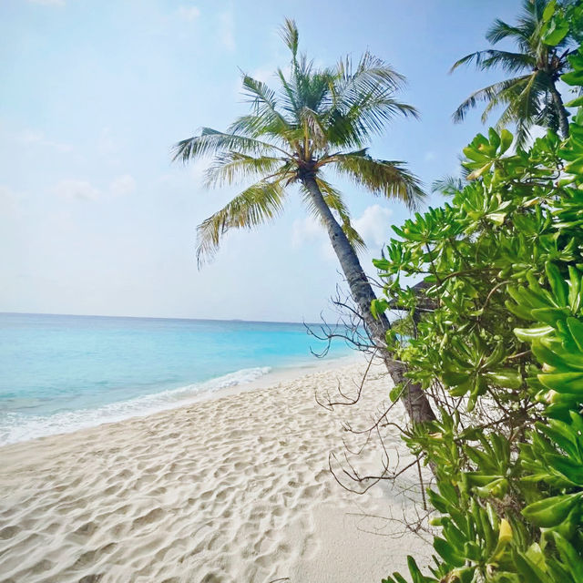 Private Paradise: JA Manafaru Maldives 🇲🇻 