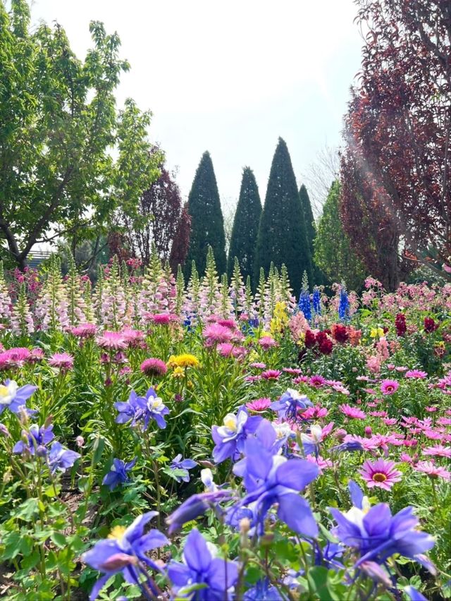 The Beijing World Flower Grand View Garden