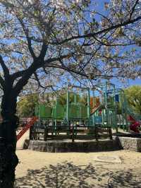 超靚😍🌸 大阪櫻花公園遊樂場 🌸 