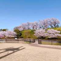 Maebashi Park, Gunma
