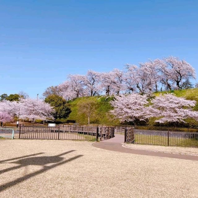 Maebashi Park, Gunma