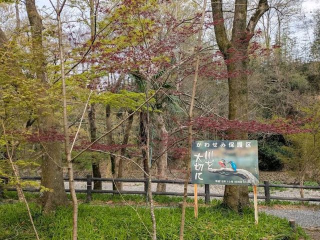 Kinchakuda Park, Saitama