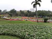 Yuntai Garden 