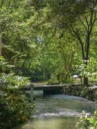 Time-Travelling Through Tea and Stone: Xin Chang Ancient Town, Chengdu