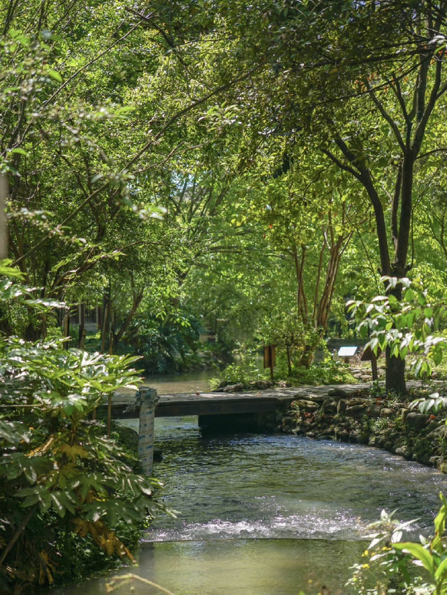 Time-Travelling Through Tea and Stone: Xin Chang Ancient Town, Chengdu