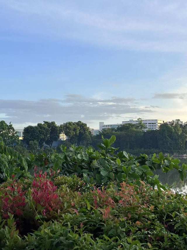 ☀️ Slow Bakes, Yishun: Sourdough & Serenity by the Pond