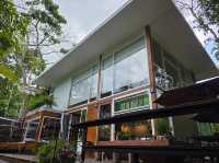 บ้านในหมง คาเฟ่ในป่า บรรยากาศสบายๆ