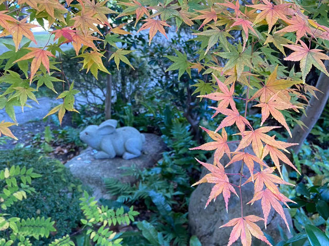 【京都】うさぎ神社🐰⛩️