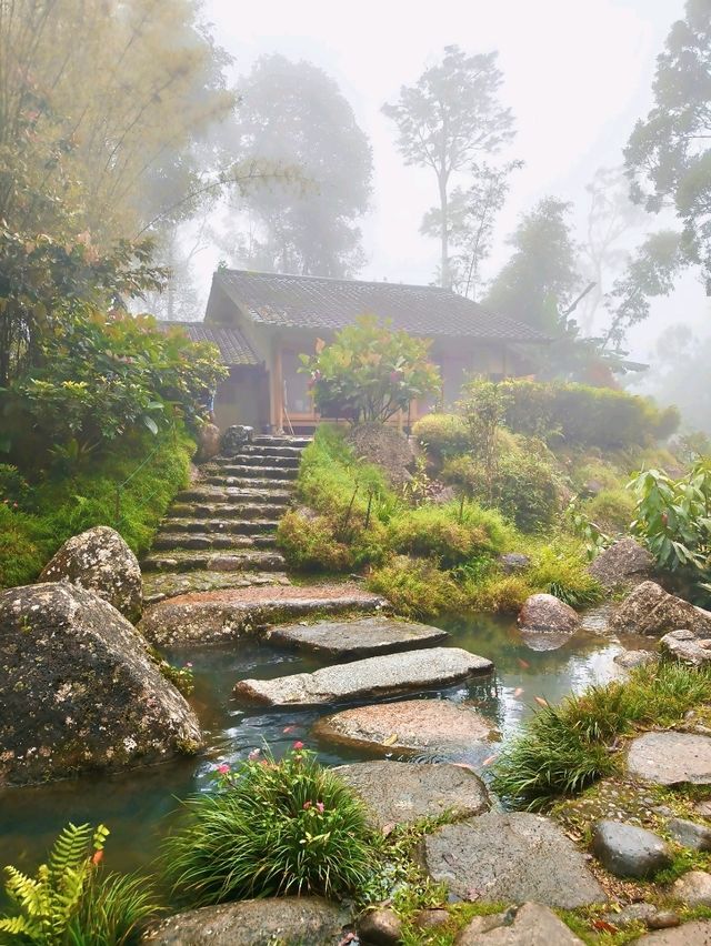 Misty Moments in a Hidden Japanese Village Above the Clouds