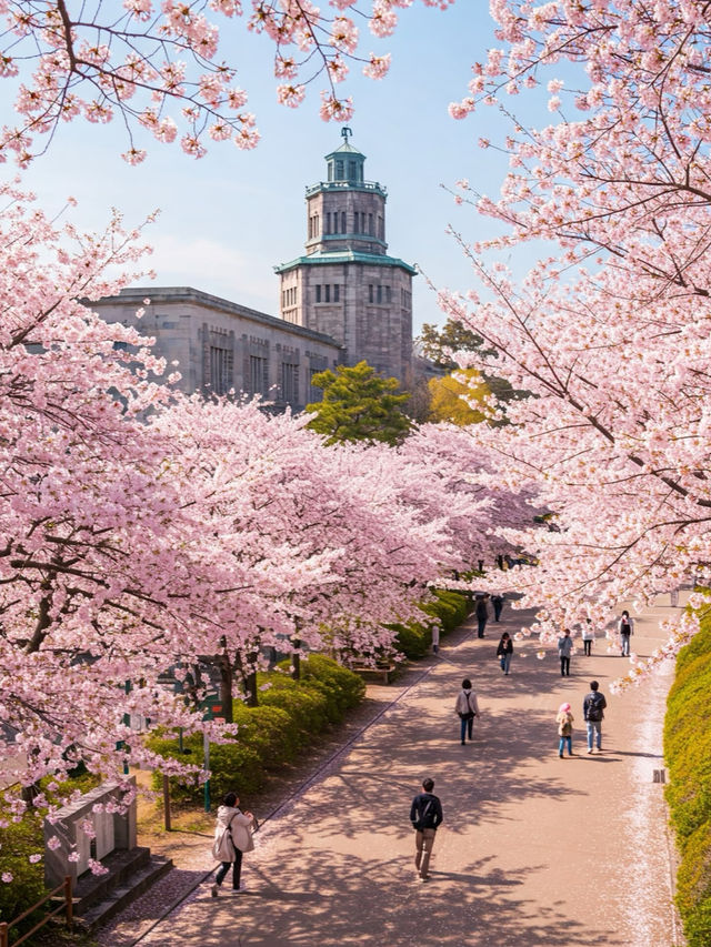 Kansai Cherry Blossom Guide  | Osaka, Kyoto