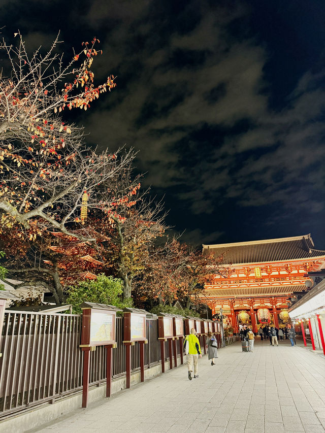 A night at Asakusa