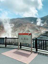 【神奈川🪢箱根」火山を感じる🌋世界観を体感しに行こう