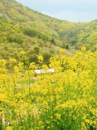 Namhae's Paradangse: An Enchanting Escape