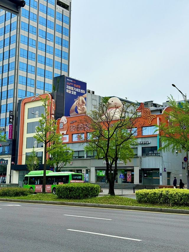 A Famous District in Seoul South Korea