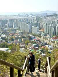 Beautiful Scenery at Top of the Mountain