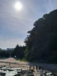 【静岡】伊豆の海と赤い鳥居が美しい白浜神社