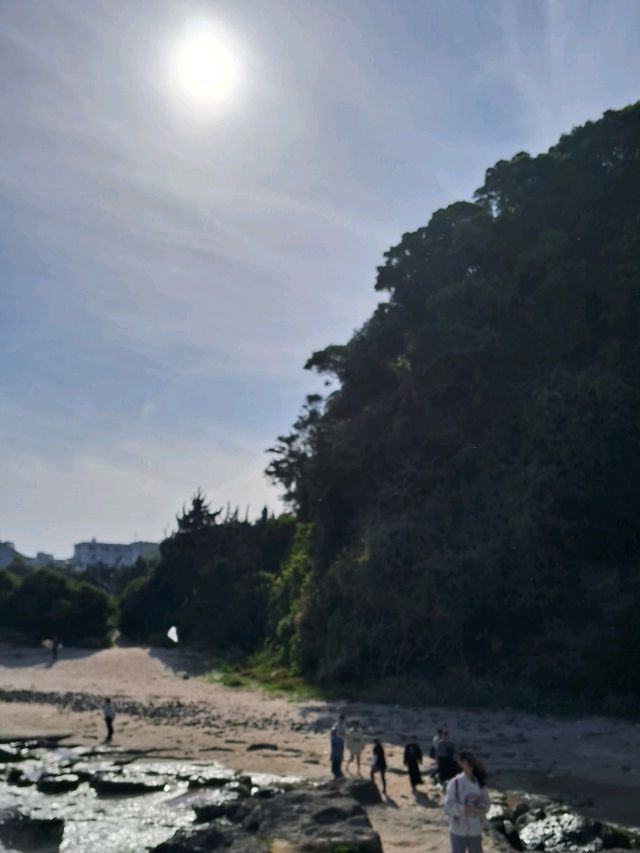 【静岡】伊豆の海と赤い鳥居が美しい白浜神社