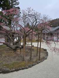 瑞巖寺-來到日本三景松島絕對不能錯過的國寶