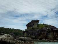 Whispers of the Wild: Sharing Thoughts After an Unforgettable Journey to Bako National Park