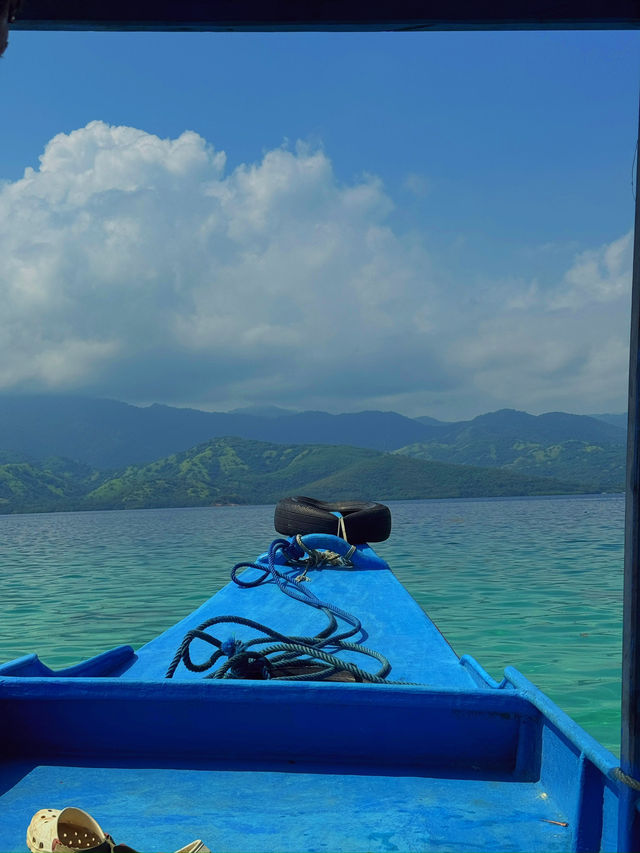 17 Islands and the Flying Foxes of Ruteng