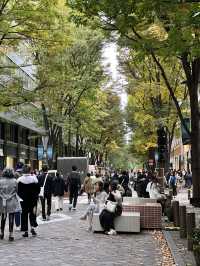 🌿 Marunouchi Street Park – 도심 속 여유, 도쿄에서 가장 세련된 쉼표