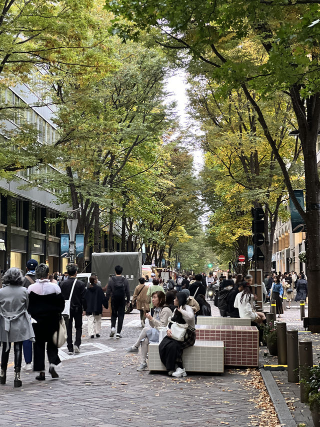 🌿 Marunouchi Street Park – 도심 속 여유, 도쿄에서 가장 세련된 쉼표