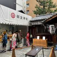 🇯🇵 【京都】金色の鳥居✨御金神社⛩️