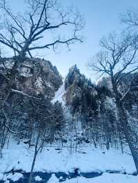 【北海道】層雲峽：被冰封的流星瀑布和銀河瀑布