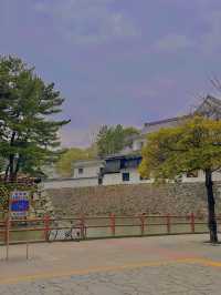 일본 기타큐슈에 위치한 고쿠라성 🏯