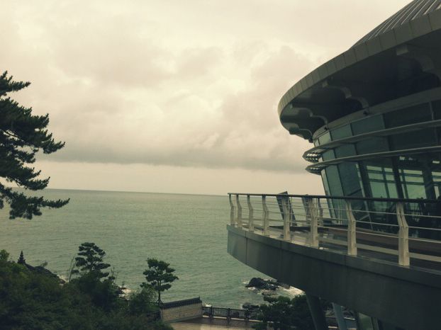 🌊 바다와 숲길이 어우러진 하루 – 해운대 & 동백섬 산책