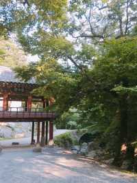1박 2일 순천 여행 추천 코스: 자연과 전통이 어우러진 여유로운 여행 🌿