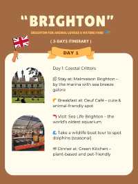 Brighton 3-days itinerary ❣️